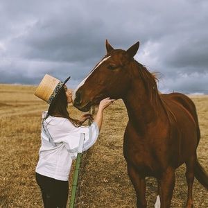 Charlie 1 Horse top hat with beaded hat band